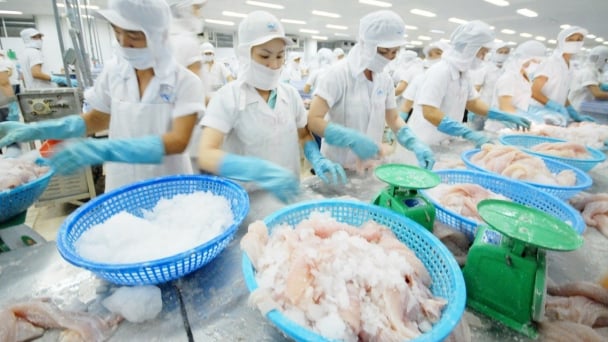 Domestic market – 'Long-term stronghold' for Vietnamese pangasius